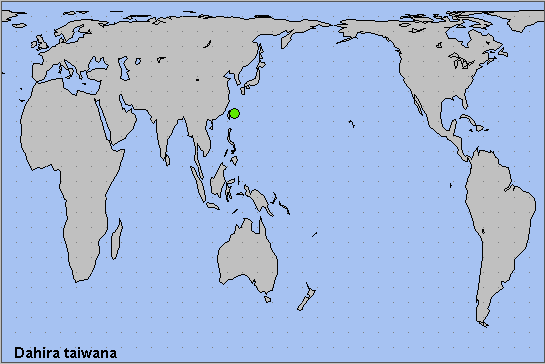 Global distribution of Dahira taiwana. Map: © NHMUK.