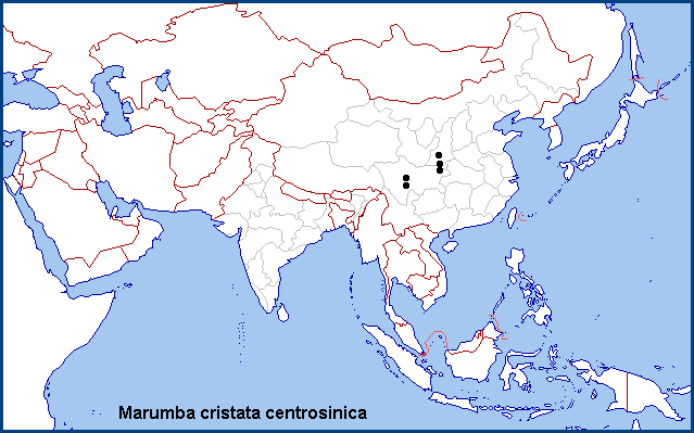 Global distribution of Marumba cristata centrosinica. Map: © NHMUK.