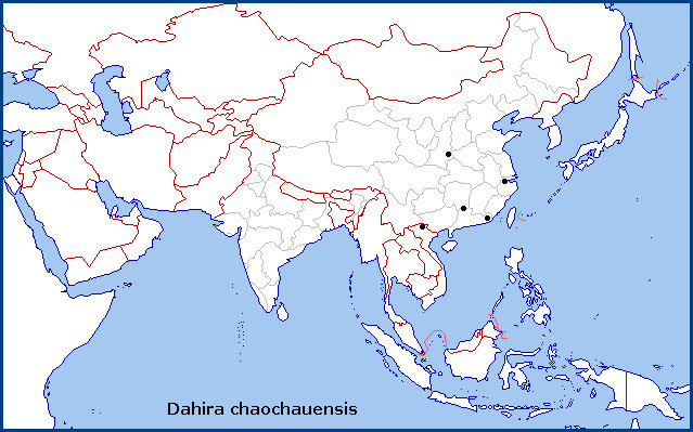 Global distribution of Dahira chaochauensis. Map: © Tony Pittaway.