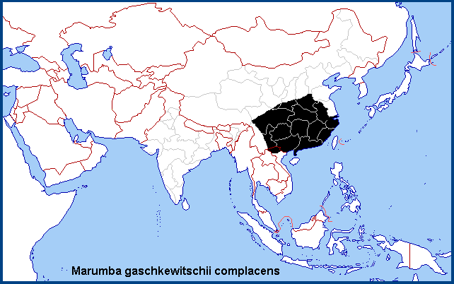 Global distribution of Marumba gaschkewitschii complacens. Map: © NHMUK.