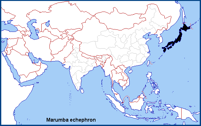 Global distribution of Marumba echephron. Map: © NHMUK.