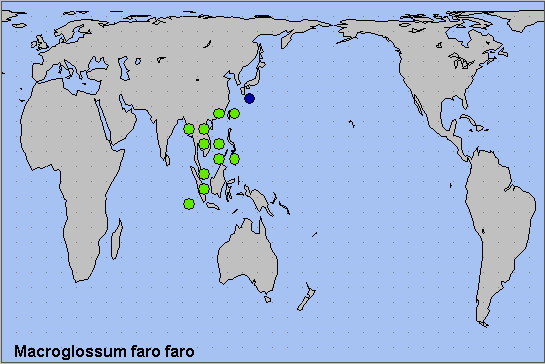 Global distribution of Macroglossum faro faro. Map: © NHMUK.
