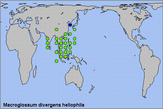 Global distribution of Macroglossum divergens heliophila. Map: © NHMUK.