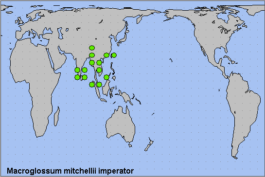 Global distribution of Macroglossum mitchellii imperator. Map: © NHMUK.