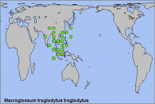 Global distribution of Macroglossum troglodytus troglodytus. Map: © NHMUK.