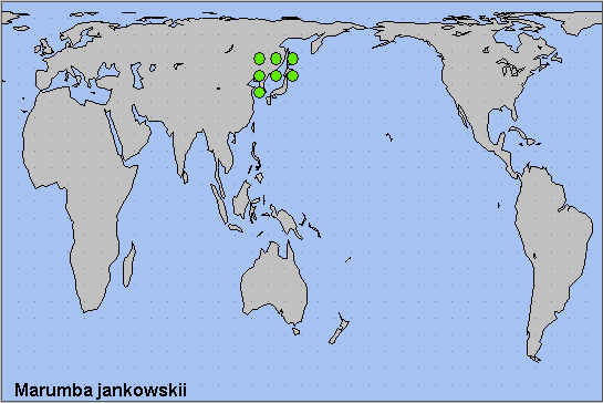 Global distribution of Marumba jankowskii. Map: © NHMUK.