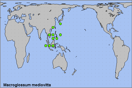 Global distribution of Macroglossum mediovitta. Map: © NHMUK.