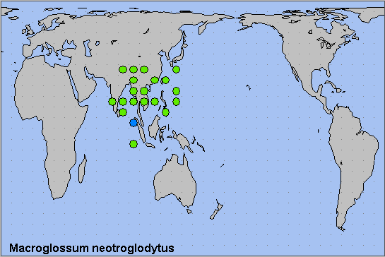 Global distribution of Macroglossum neotroglodytus. Map: © NHMUK.