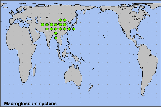 Global distribution of Macroglossum nycteris. Map: © NHMUK.