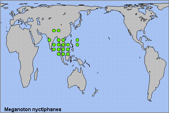 Global distribution of Meganoton nyctiphanes. Map: © NHMUK.