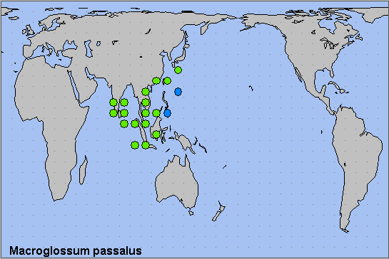Global distribution of Macroglossum passalus. Map: © NHMUK.