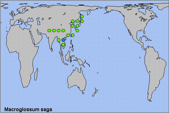 Global distribution of Macroglossum saga. Map: © NHMUK.