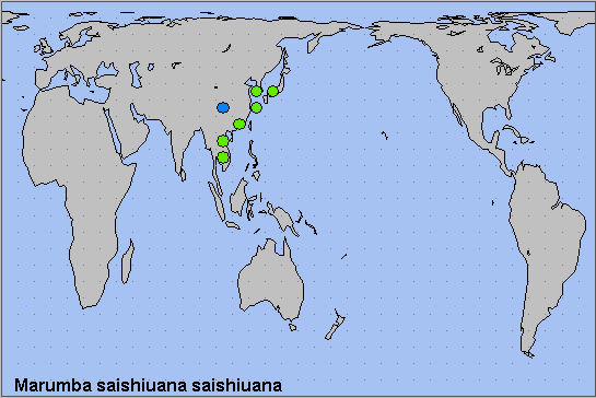 Global distribution of Marumba saishiuana saishiuana. Map: © NHMUK.