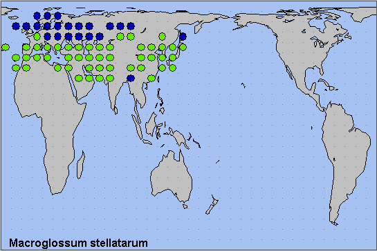 Global distribution of Macroglossum stellatarum. Map: © NHMUK.