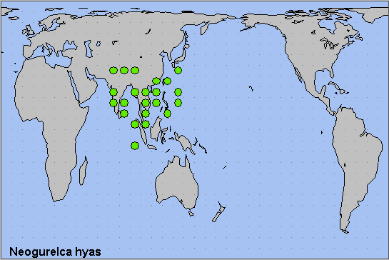 Global distribution of Neogurelca hyas. Map: © NHMUK.