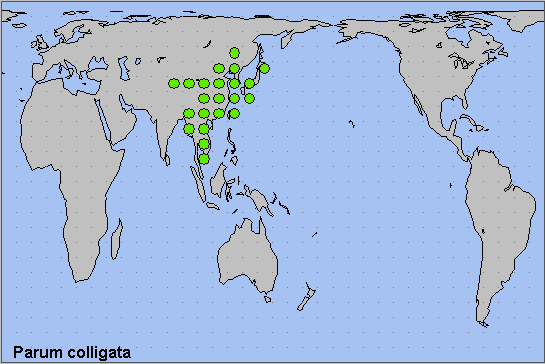 Global distribution of Parum colligata. Map: © NHMUK.