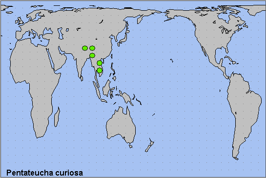 Global distribution of Pentateucha curiosa. Map: © NHMUK.