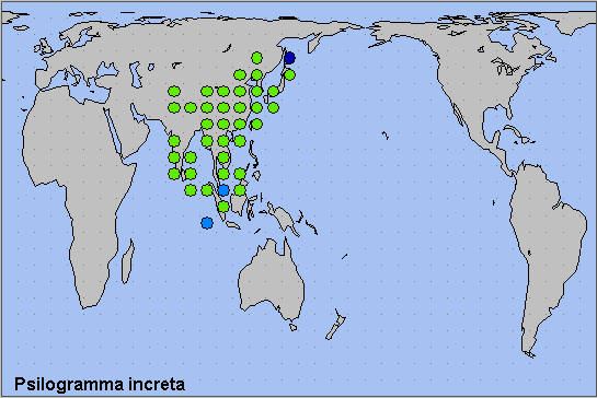 Global distribution of Psilogramma increta. Map: © NHMUK.