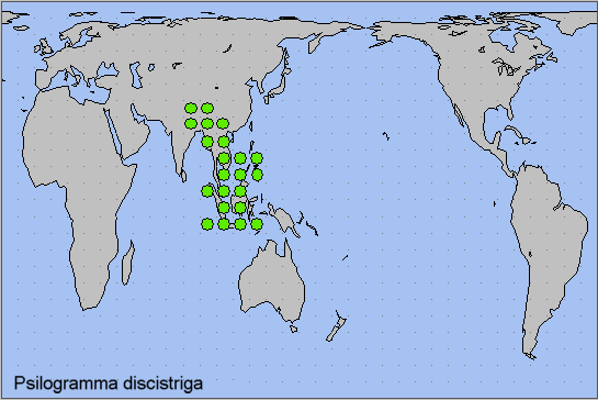 Global distribution of Psilogramma discistriga. Map: © NHMUK.