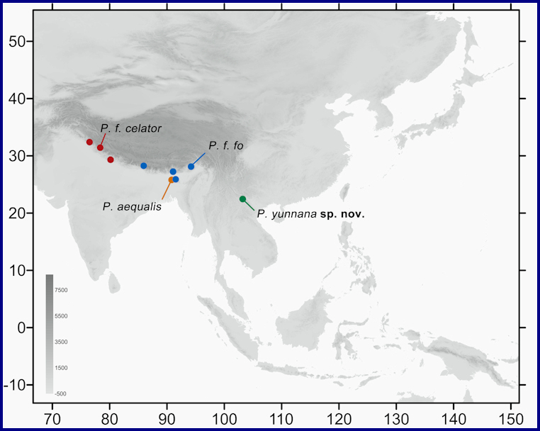 Global distribution of Pseudodolbina fo fo. Map: © Jiang, Yan, Wang & Hu, 2024.