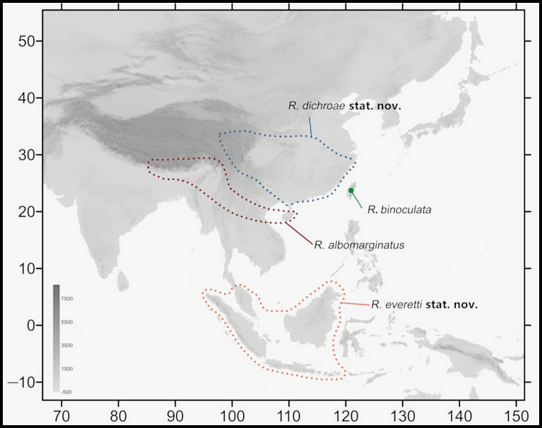 Global distribution of Rhagastis albomarginatus. Map: © Jiang, Wang, Xu, Kitching, Huang, Hu & Xiao, 2024.