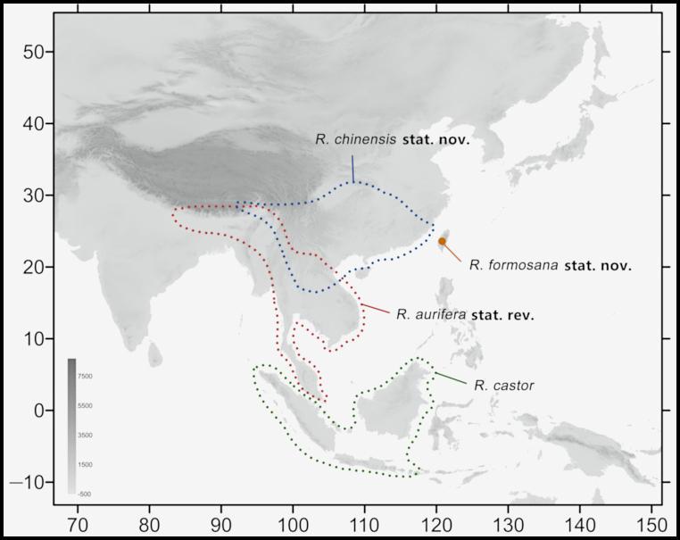 Global distribution of Rhagastis aurifera. Map: © Jiang et al., 2024.