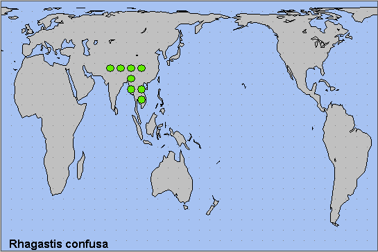 Global distribution of Rhagastis confusa. Map: © NHMUK.