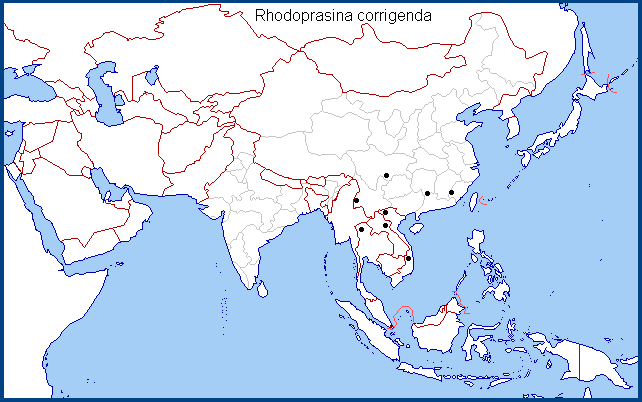 Regional distribution of Rhodoprasina corrigenda. Map: © NHMUK.
