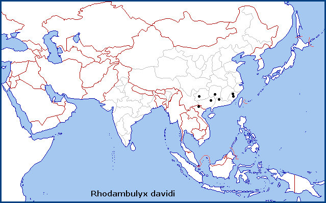 Global distribution of Rhodambulyx davidi. Map: © Tony Pittaway.
