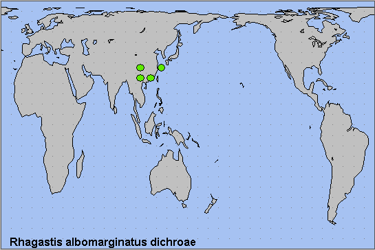 Global distribution of Rhagastis albomarginatus dichroae. Map: © NHMUK.