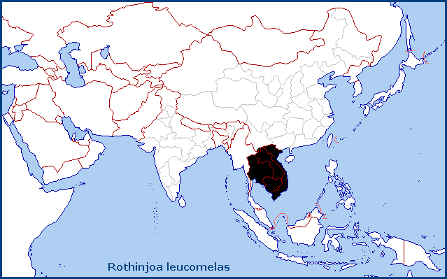 Global distribution of Rothinjoa leucomelas. Map: © NHMUK.