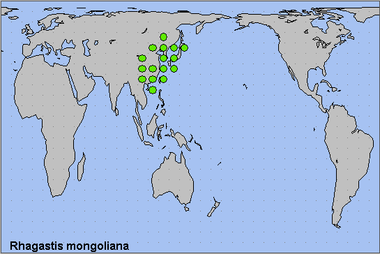 Global distribution of Rhagastis mongoliana. Map: © NHMUK.