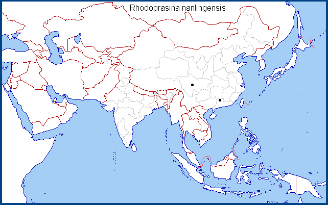 Regional distribution of Rhodoprasina nanlingensis. Map: © NHMUK.