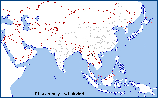 Global distribution of Rhodambulyx schnitzleri. Map: © Tony Pittaway.