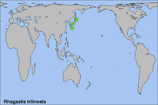 Global distribution of Rhagastis trilineata. Map: © NHMUK.