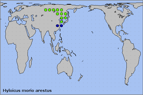 Global distribution of Hyloicus morio arestus. Map: © NHMUK.