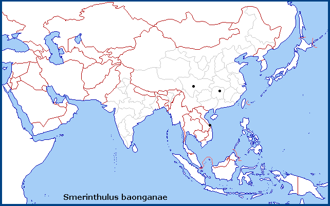 Global distribution of Smerinthulus baonganae. Map: © Tony Pittaway.