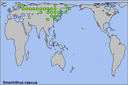 Global distribution of Smerinthus caecus. Map: © NHMUK.