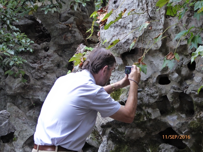 Typical larval habitat of Sphecodina caudata (with Tony Pittaway), Jade Emperor Hill, West Lake, Hangzhou, Zhejiang, China, 11.ix.2016. Photo: © Qiaoqiao Zhang.