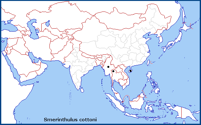 Global distribution of Smerinthulus cottoni. Map: © Tony Pittaway.