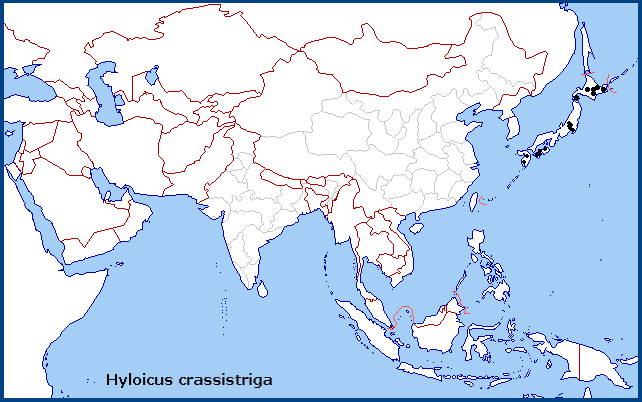 Global distribution of Hyloicus crassistriga. Map: © NHMUK.