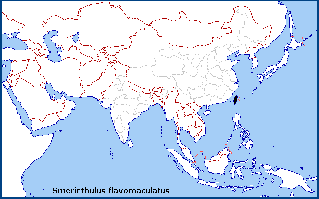 Global distribution of Smerinthulus perversa flavomaculatus. Map: © NHMUK.