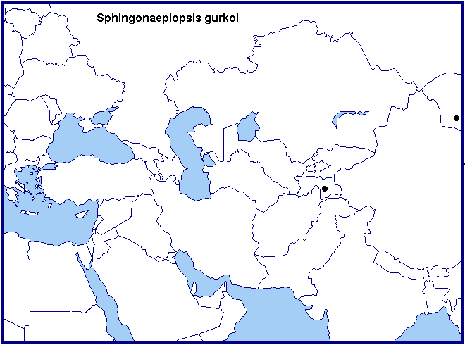 Global distribution of Sphingonaepiopsis gurkoi.