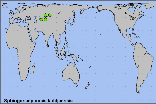 Global distribution of Sphingonaepiopsis kuldjaensis. Map: © NHMUK.