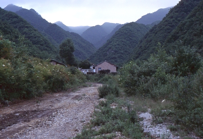 Typical habitat of Smerinthus minor, Qinling (2000m), Shaanxi, China. Photo: © Tony Pittaway.