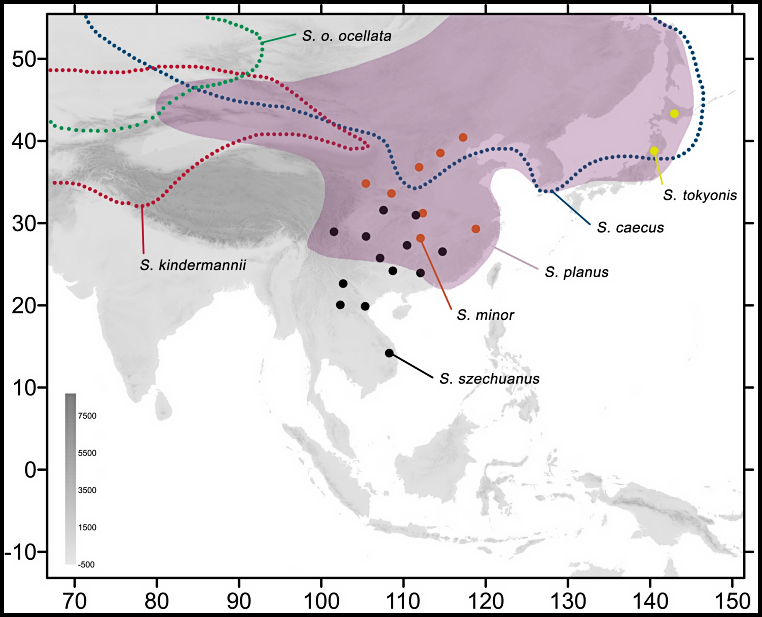 Global distribution of Smerinthus szechuanus. Map: © Jiang, Li, Yan, Wang, Zheng & Hu, 2024.