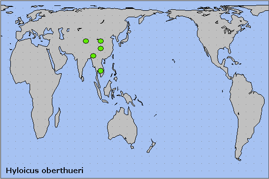 Global distribution of Hyloicus oberthueri. Map: © NHMUK.