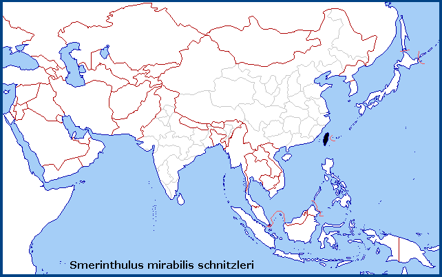 Global distribution of Smerinthulus mirabilis schnitzleri. Map: © Tony Pittaway.