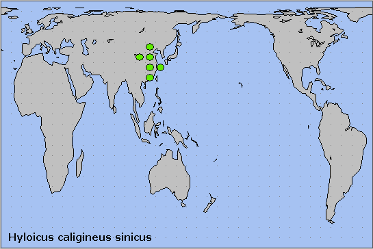 Global distribution of Sphinx caligineus sinicus. Map: © NHMUK.