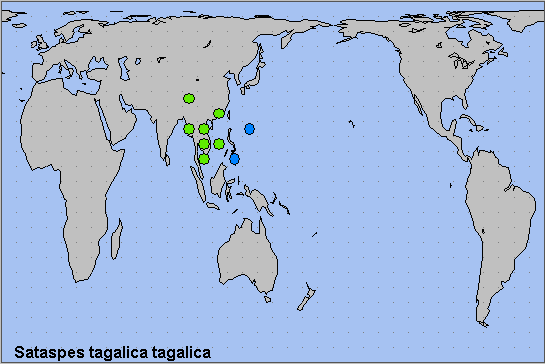 Global distribution of Sataspes tagalica tagalica. Map: © NHMUK.